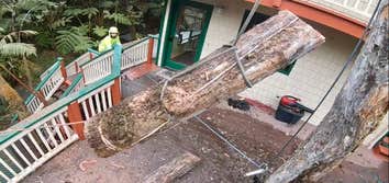 East Side Tree Services