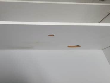 Premier Electrical Building & Inspections