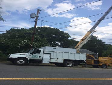 Photo(s) from Bonilla Tree Service Inc