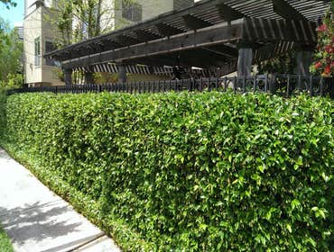 Projects by Landscape Update Company Houston Residential Design | Updating Installation