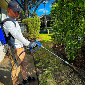 Bugsy's Pest Solutions