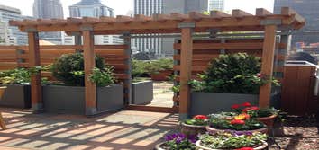 Terrace Pergola and Privacy Wall