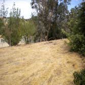 More Weed Abatement