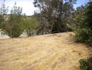 More Weed Abatement
