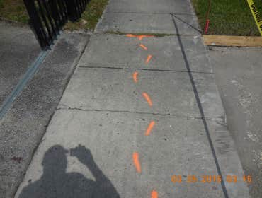 Photos from Whyte's Construction Group Llc Driveway and sidewalk restoration repair. Commercial project in the City of North Miami (Alix Renea Residenc