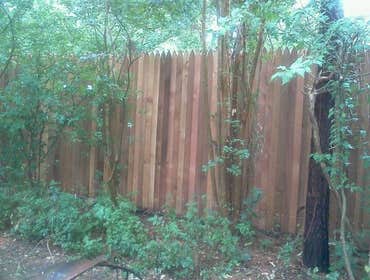 Wood
