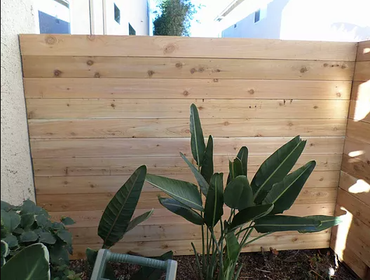 Wood