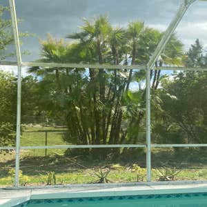 Photos by Arbobella Tree Service #1
