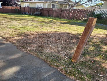 Photos by Chavezm Tree Service #11
