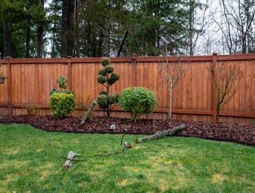 Fences