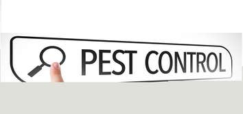 Photos by Hill City Termite Removal Experts #1