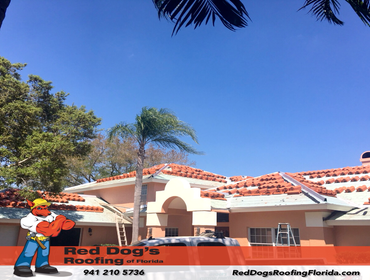 Photos by Red dog's Roofing of Florida #1