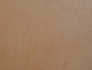 Venetian plastering
