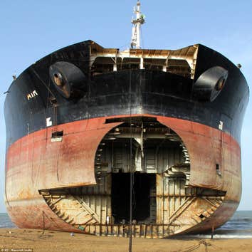 Irvine Marine Sevice