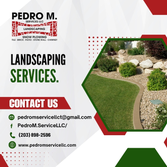 Pedro M. Service LLC