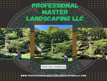 Photos by Professional Master Landscaping LLC #18
