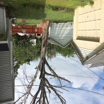 Tree Service South Jersey