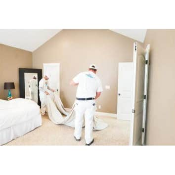 Painter1 of Highlands Ranch
