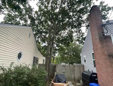 Removal a large white oak leaning over the neighbor's house??⚒️?