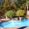 Dolphin Pools and Concrete logo