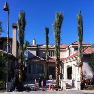 Photos