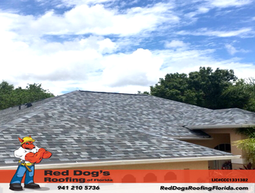 Photos by Red dog's Roofing of Florida #1