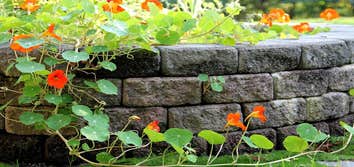 Photos by Southern Scope Landscape #1