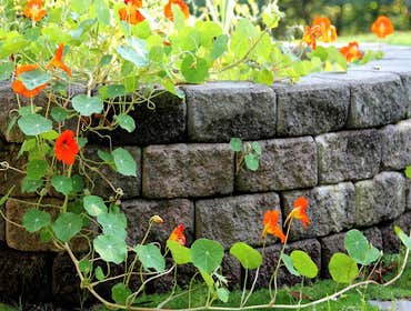 Photos by Southern Scope Landscape #1