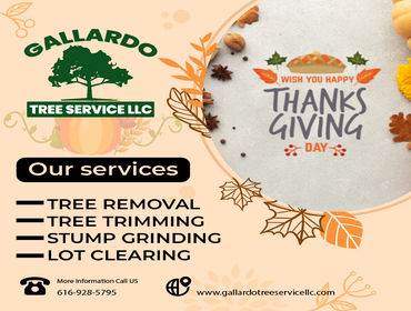 Photos by Gallardo Tree Service LLC #10