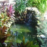 Ponds and Water Features Sunset Bay Landscaping Inc.'s designers can transform your property into a luxurious oasis with multiple waterfalls, water fea