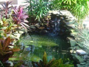 Ponds and Water Features Sunset Bay Landscaping Inc.'s designers can transform your property into a luxurious oasis with multiple waterfalls, water fea