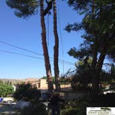 OCHOA TREE SERVICE Project 1