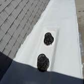 Photos by Roofing Heights #1