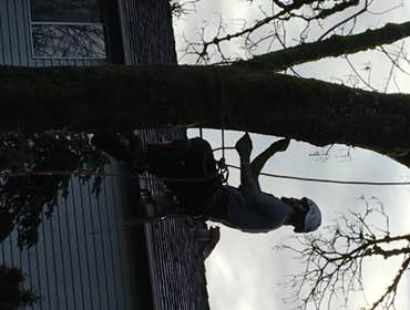 Photos from Gaea Tree Service & Roofing Some jobs we did, removals , view clearance and trees ove houses