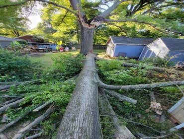 Photos by Beaver Lake Tree Service, Inc #1
