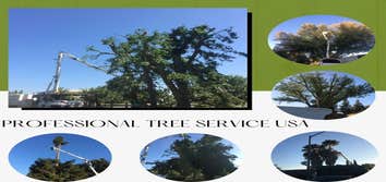 Professional Tree Service Usa