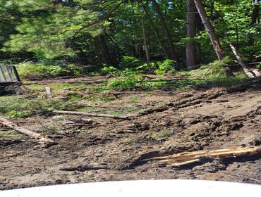 Flores Tree Services General & Landscaping