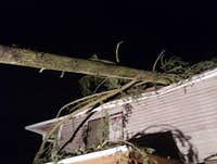 Photos by Elite Tree Care #1