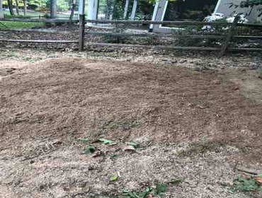 Photos by Carlos Tree Service #7