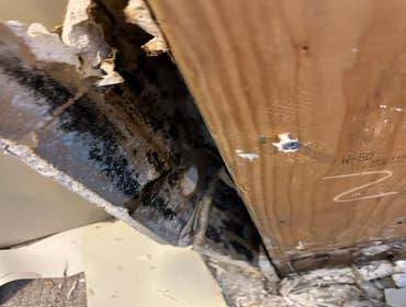 Water Mitigation This project was a roof leak the photos show initial inspection to post demo.