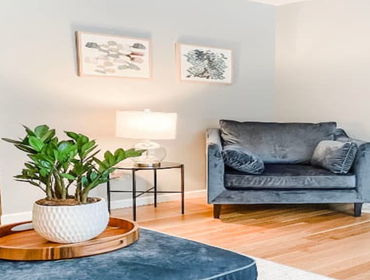 Living Room Design
