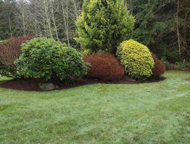 Photos by Sanchez Landscaping LLC #6