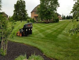 Photos by Amigos Lawn Care & Tree Services #1