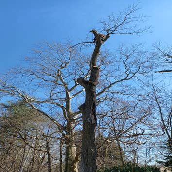 Photos by Moro Landscaping & Tree Services LLC #1