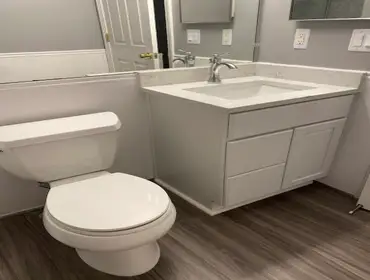 Bathroom Remodel