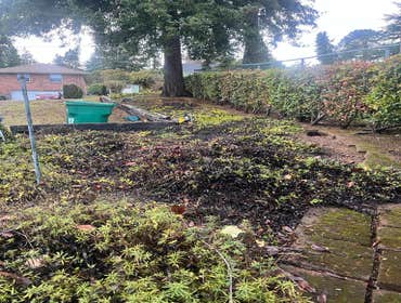 Photos by Nmm Manriquez Landscaping LLC #10