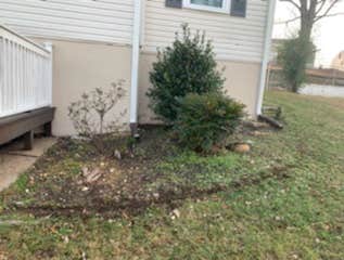 Photos by Don Cele Landscaping #1