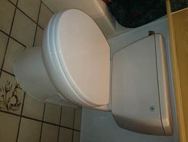 toto toilet