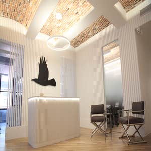 Raven Project