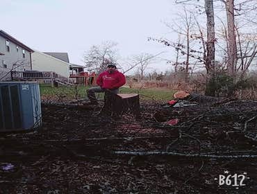 Photos by Don Cele Landscaping #1